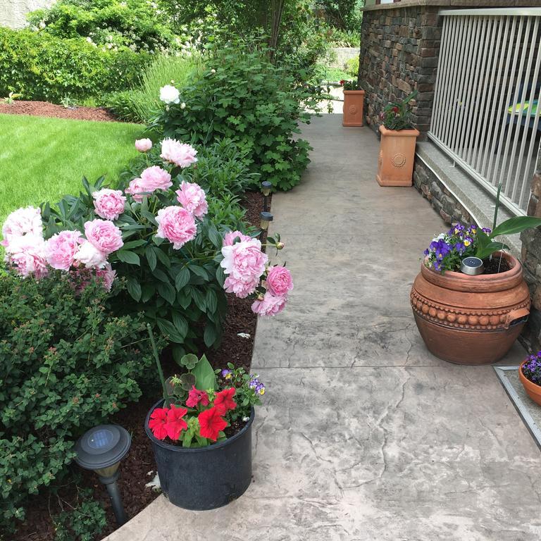 A Day'S Dream B&B Peachland Dış mekan fotoğraf